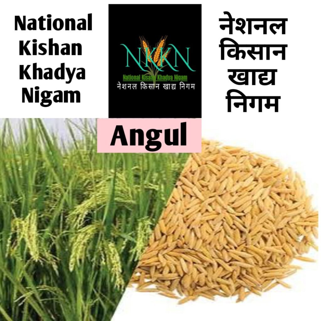 NKKN: National Kisaan Khadya Nigam Processing Unit in Angul District of ODISHA